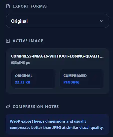 Choosing keep as original output to reduce image size for websites
