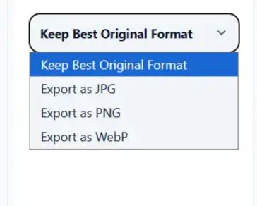 Choosing JPG PNG or WebP as the crop export format