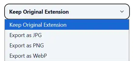Output format selection after resizing an image